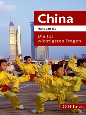 cover image of Die 101 wichtigsten Fragen--China